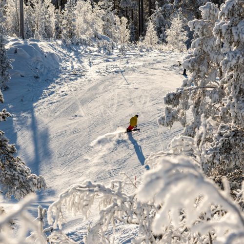 Skidåkning_alpin