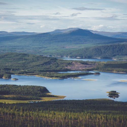 sommarvy över fjällen